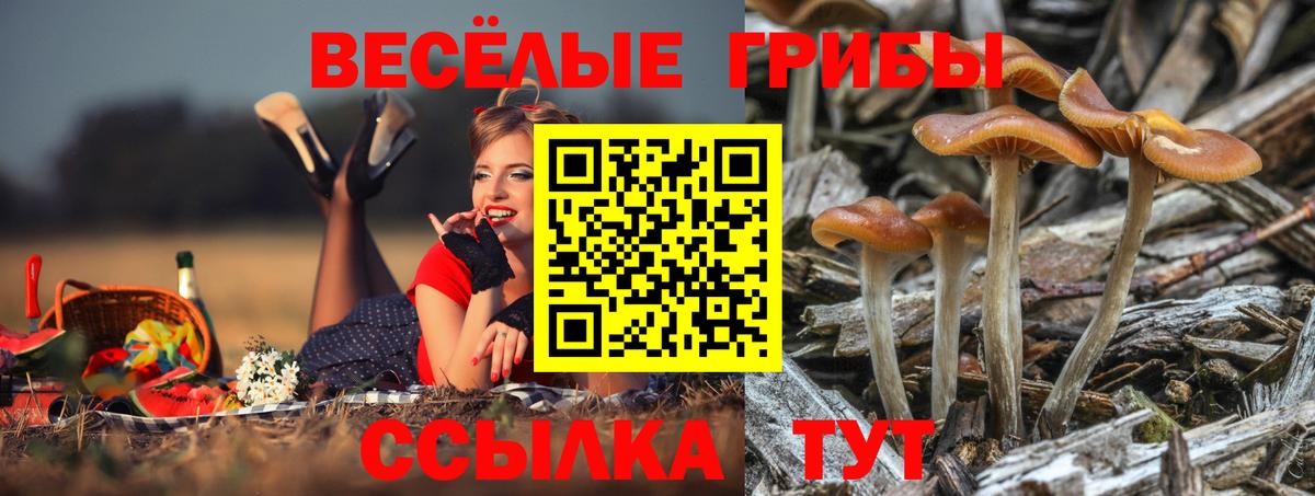 МЕФ Лесной