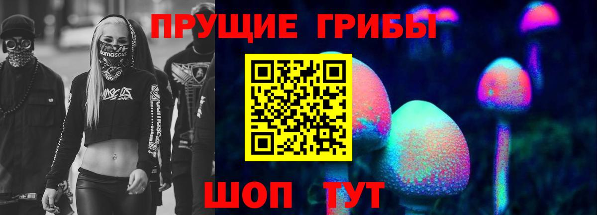 Галлюциногенные грибы Cubensis Лесной